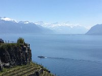 2017-04-29 12-27-12 1f785ec8